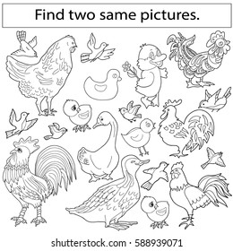 Find two same pictures, education game for  children.Vector black and white  set of birds.