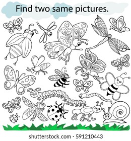 Find two same pictures, education game for  children.Vector black and white.  Set of  insects, butterflies, bee, wasp, caterpillar, snail, ladybug,