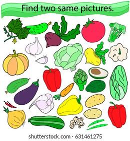 Find two same pictures, education game for  children.Vector. Color.  A set of vegetables, tomato, cucumber, zucchini, eggplant, pepper, beets, potatoes, carrots, cabbage,