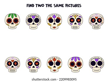 Find two the same skulls. Educational logical game for kids.