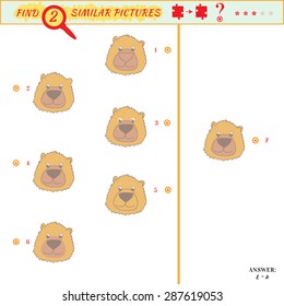 Find two similar pictures. Puzzle or picture riddle. Education matching game for preschool children. Cartoon bear. Answer included
