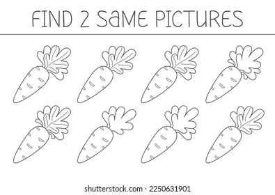 Find two some pictures is an educational game for kids with carrot. Cute carrot coloring book. Vector illustration.