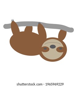 Find wild life animal related to cute animal stay on the tree. Sloth can be icon, decoration, character to decoration and part of background