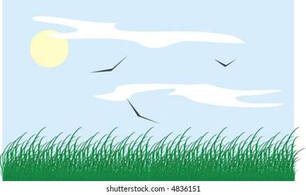 Fine background for a collage. On a picture the green grass on a background of the cloudy summer sky is represented.