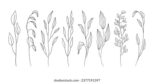 Fine line floral set. Doodle ornamental botanical elements, nature leaves and branches, small tattoo sketch. Vector art