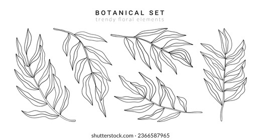 Fine line leaves. Hand drawn sketch floral elements, botanical plant branches for tattoo, art print, cards. Vector set