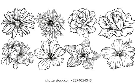 Fine line vector drawing of flowers. Linework art. Set of different blossoms. Floral hand drawn design elements. Black linework. Hand drawn vector illustration.Card, invitation, poster, template.