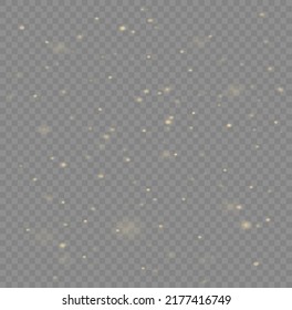 Fine, shiny dust bokeh particles fall off slightly. Blur sparks and golden stars shine with special light. Blurred lights isolated on transparent background. Christmas concept. Vector illustration.