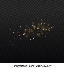 Fine, shiny dust bokeh particles fall off slightly. Blur sparks and golden stars shine with special light. Blurred lights isolated on transparent background. Christmas concept. Vector illustration.
