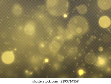 Fine, shiny dust bokeh particles fall off slightly. Blur sparks and golden stars sparkle shine with special light. Blurred lights isolated on transparent background. Christmas concept. Vector