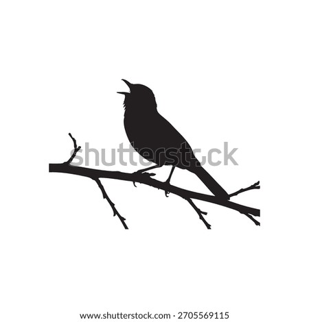 Fine white etched lines trace the contours of the wings and tail feathers, creating layered textures that suggest the complex structure of the plumage. The bird’s compact, stout body and short, conica