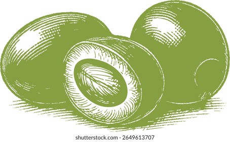 Ilustração botânica de azeitonas com detalhes finos, ideal para cozinha mediterrânea, receitas gourmet, emparelhamento de vinhos e design de alimentos vintage. Perfeito para embalagens culinárias ou naturais.