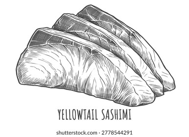 A finely crafted, classical engraving style vector illustration of Yellowtail Sashimi (Hamachi) slices. Perfect for high-end Japanese restaurant menus, fresh seafood packaging, and culinary art.