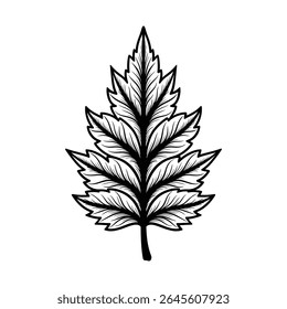 Uma ilustração vetorial finamente detalhada de uma folha botânica, apresentando padrões de veia intrincados e bordas serrilhadas, ideais para projetos naturais e ornamentais.