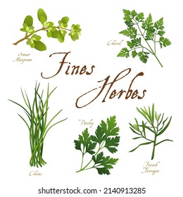 Fines Herbes, classic French herb blend for cooking: Sweet Marjoram, Chervil, Chives, Italian Flat Leaf Parsley, French Tarragon, isolated on white. 