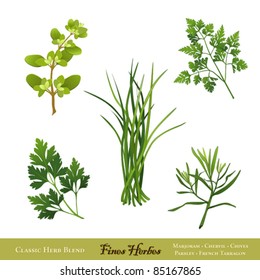 Fines Herbes. Traditional French herb blend for cooking: Sweet Marjoram, Chives, Chervil, Italian Flat Leaf Parsley, French Tarragon isolated on white. EPS8 compatible. See more herbs in this series.