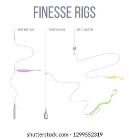 Finesse rigs for catching predatory fish. Drop shot, three way and split shot rig. 