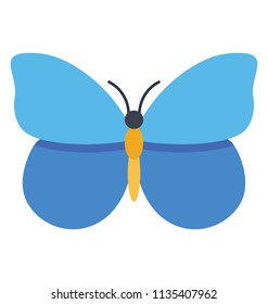 
Finest design icon for blue lepidoptera butterfly 
