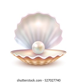 Finest quality beautiful natural open pearl shell close up realistic single valuable object image vector illustration 