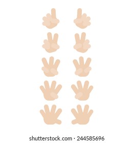 finger count flat design vector