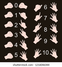 finger counting of kid toddler baby left and right hand for mathematics education, math study , number one two three four five six seven nine ten