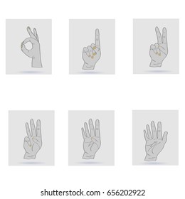  Finger counting. Wrist with shadow. Set of wrist movements. Flat design, vector illustration, vector.