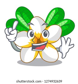Finger flower frangipani isolated on the mascot