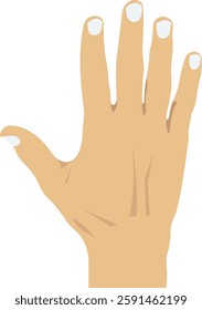 Finger illustration with isolated background  