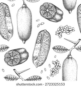 Dedo limão padrão sem emenda. Esboço de planta tropical. Fundo de fruta exótico. Ilustração vetorial desenhada à mão. Desenho de citrinos. NÃO gerado AI