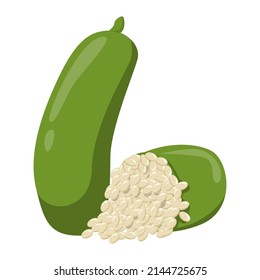 Finger lime vector isolated. Illustration of exotic citrus product. Green fruit, healthy juicy meal. Exotic nutrition. Fresh ripe lime.