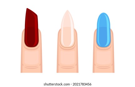 Finger with Polished Nails as Manicure and Nail Plate Decoration Vector Set