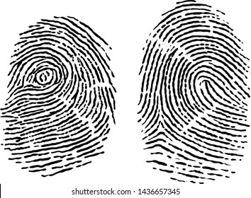 Finger Print Illustration, Drawing, Engraving, Ink, Line Art, Vector