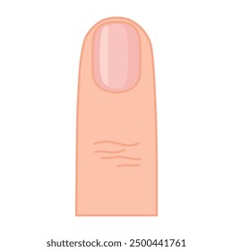 Finger. A woman's finger. A part of the human body. Natural manicure. Vector illustration isolated on a white background for design and web.