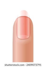 Fingernail manicure on a white background. Vector illustration.