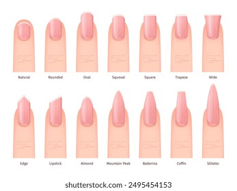 Fingernail shapes. Feminine Nail Shape Types finger nails manicure Natural oval square lipstick Ballerina fingernails Trendy visual Style infographic swanky Vector Illustration authors graphics