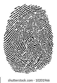 Fingerprint black on white.