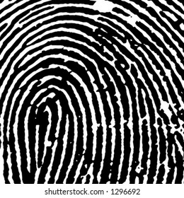 Fingerprint Crop