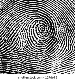 Fingerprint Crop