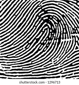 Fingerprint Crop