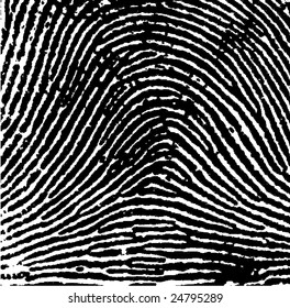 Fingerprint details