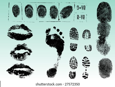 Fingerprint Footprints and Lips 2 - Very accurately scanned and traced ( Vectors are transparent so it can be overlaid on other images, vectors etc.)