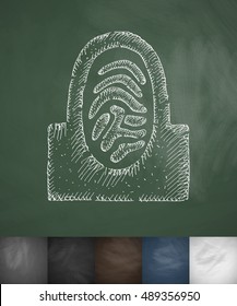 Fingerprint icon. Hand drawn vector illustration