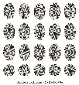 Fingerprint identification. Biometric human fingerprints, unique thumb lines imprint. Security fingerprint authentication vector illustration set. Fingerprint imprint pattern collection