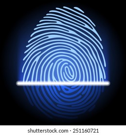 fingerprint identification system