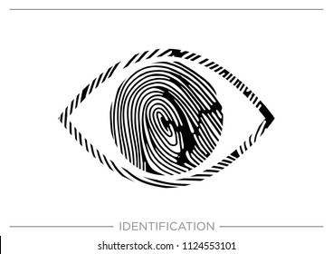 fingerprint / identification / touch