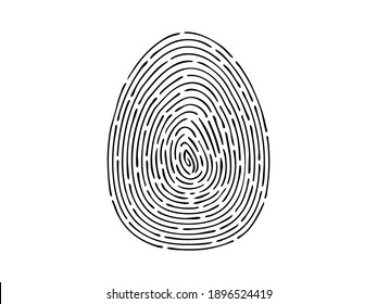 Fingerprint on white background. Contour curved lines of identification and biometric security trace taking fingerprints scene vector crime.