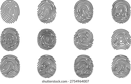 Fingerprint pattern collection featuring loops, whorls, arches, biometric identification ridge designs, forensic black and white vector illustration