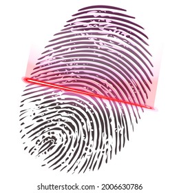 Fingerprint Scanned By A Red Laser Beam On A White Background