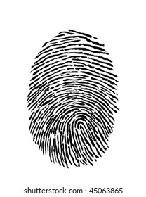 fingerprint vector