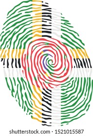 Fingerprint vector colored with the national flag of Dominica 